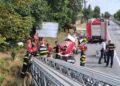 Misiune contracronometru la Blăgești! Pompierii au salvat un cal căzut într-un șanț