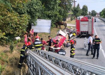 Misiune contracronometru la Blăgești! Pompierii au salvat un cal căzut într-un șanț