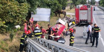 Misiune contracronometru la Blăgești! Pompierii au salvat un cal căzut într-un șanț