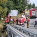 Misiune contracronometru la Blăgești! Pompierii au salvat un cal căzut într-un șanț