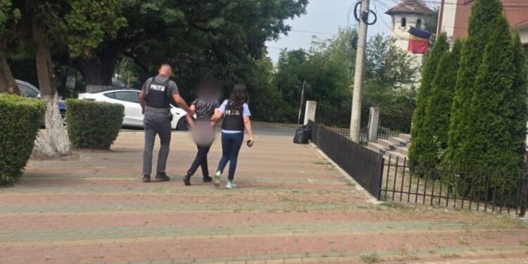 Control judiciar pentru o femeie din Deleni, Iași. Ar fi lovit intenționat cu mașina o turmă de oi