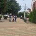 Control judiciar pentru o femeie din Deleni, Iași. Ar fi lovit intenționat cu mașina o turmă de oi