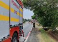 accident Timis