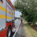 accident Timis