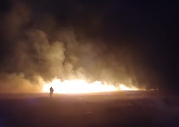 Incendiu pe 10 hectare de vegetație uscată în apropiere de Războieni. Flăcările s-au apropiat de o fermă avicolă