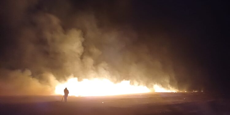 Incendiu pe 10 hectare de vegetație uscată în apropiere de Războieni. Flăcările s-au apropiat de o fermă avicolă