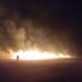 Incendiu pe 10 hectare de vegetație uscată în apropiere de Războieni. Flăcările s-au apropiat de o fermă avicolă