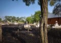 Lumânările aprinse au provocat panică într-un cimitir. Vegetația uscată și crucile din lemn au luat foc