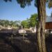 Lumânările aprinse au provocat panică într-un cimitir. Vegetația uscată și crucile din lemn au luat foc