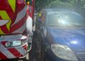 Creangă căzută peste o mașină, la Grădina Botanică din Iași. Pompierii, blocați de autoturismele parcate neregulamentar