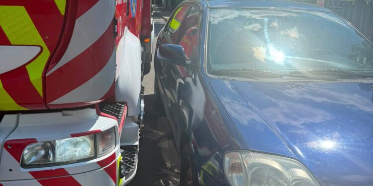 Creangă căzută peste o mașină, la Grădina Botanică din Iași. Pompierii, blocați de autoturismele parcate neregulamentar
