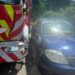 Creangă căzută peste o mașină, la Grădina Botanică din Iași. Pompierii, blocați de autoturismele parcate neregulamentar