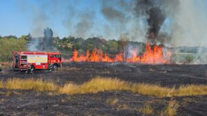 Incendiu de vegetație uscată la Cristești: flăcările s-au extins pe aproximativ 1,5 hectare