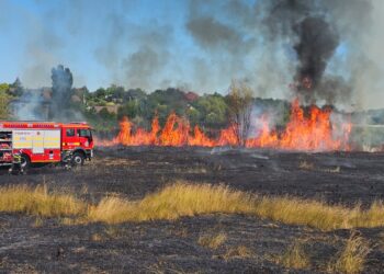 Incendiu de vegetație uscată la Cristești: flăcările s-au extins pe aproximativ 1,5 hectare