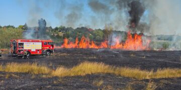 Incendiu de vegetație uscată la Cristești: flăcările s-au extins pe aproximativ 1,5 hectare