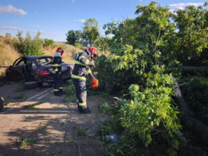 Accident Ungureni. Foto: ISU Botosani
