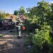 Accident Ungureni. Foto: ISU Botosani