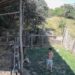 Video: Imagini revoltătoare în Brașov: un puști, filmat în timp ce lovește un câine cu o bâtă. Poliția Animalelor face verificări