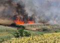 Incendiu vegetatie