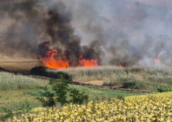 Incendiu vegetatie