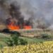 Incendiu vegetatie