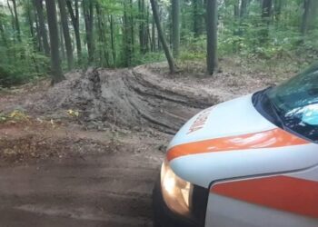 Bacău | Bărbat atacat de urs în zona împădurită din satul Scutaru