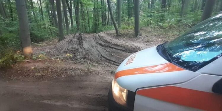Bacău | Bărbat atacat de urs în zona împădurită din satul Scutaru