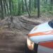 Bacău | Bărbat atacat de urs în zona împădurită din satul Scutaru