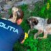 Polițiștii brașoveni s-au mișcat rapid după imaginile cu un câine agresat: trei adolescenți din Racoș, identificați și cercetați penal