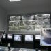 camere radar