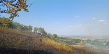 Alarmă în Iași: 256 de incendii de vegetație și aproape 350 de hectare mistuite de flăcări în 2026. Noi intervenții la Deleni și Ceplenița