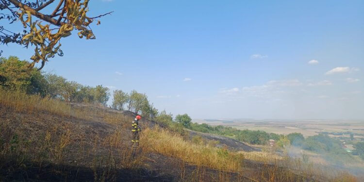 Alarmă în Iași: 256 de incendii de vegetație și aproape 350 de hectare mistuite de flăcări în 2026. Noi intervenții la Deleni și Ceplenița