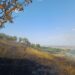 Alarmă în Iași: 256 de incendii de vegetație și aproape 350 de hectare mistuite de flăcări în 2026. Noi intervenții la Deleni și Ceplenița