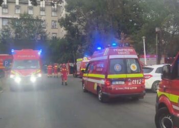 Incendiu Institutul Fundeni