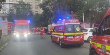 Incendiu Institutul Fundeni