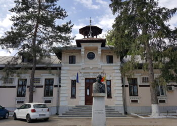 Institutul Socola