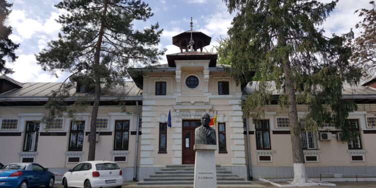 Institutul Socola