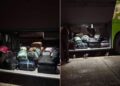 11 pui de pisică, trimiși cu autocarul pe ruta Iași–București. Șoferii au avut parte de o surpriză când au deschis compartimentul de bagaje