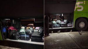 11 pui de pisică, trimiși cu autocarul pe ruta Iași–București. Șoferii au avut parte de o surpriză când au deschis compartimentul de bagaje
