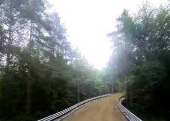 ruta vrancea