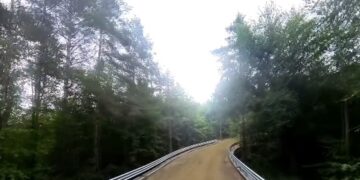 ruta vrancea