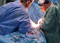 transplant iasi