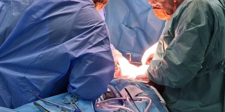 transplant iasi
