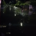 inundatii Botosani