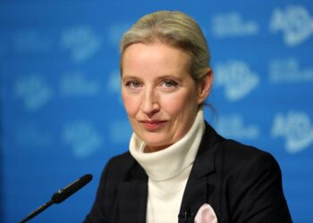 Alice Weidel (AfD)