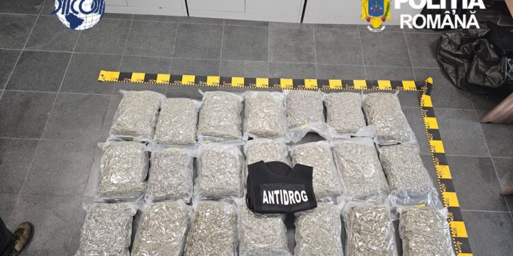 Traficant prins în flagrant la Voluntari cu marfă de 70.000 euro