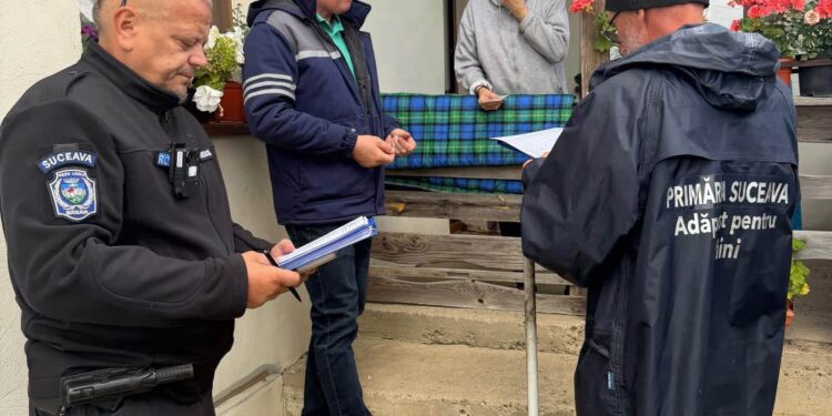 Controale din poartă în poartă la Suceava: proprietarii de câini au 30 de zile să intre în legalitate. Ce amenzi riscă