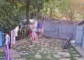 Minoră agresată în curtea casei din Șipote. Polițiștii au deschis dosar penal după apariția imaginilor pe rețelele sociale
