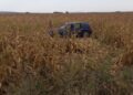 accident Neamt
