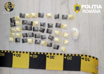 Cocaină îngropată în beci, la Bârnova. Anchetatorii au găsit 53 de doze și 25.000 de lei la percheziții